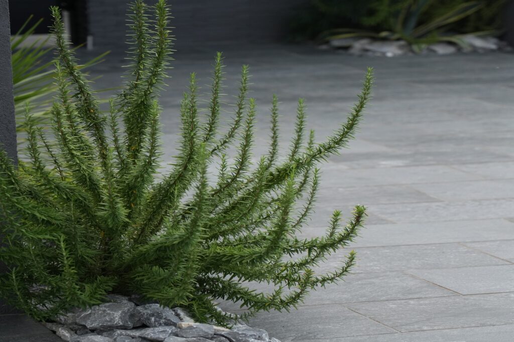 グランドアートウォールのシャッターガレージとフルクローズ外構 イメージ21