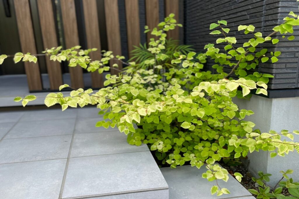 グランドアートウォールの塀とガレージでフルクローズ外構 イメージ14