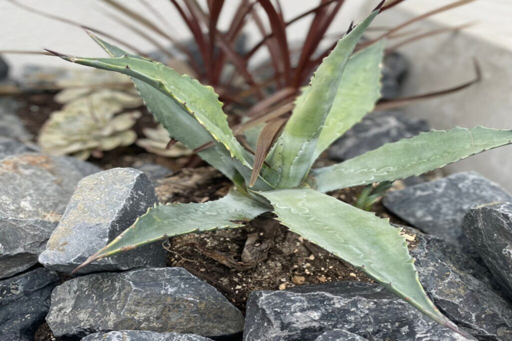 グランドアートウォールの塀とシャッターゲート イメージ10