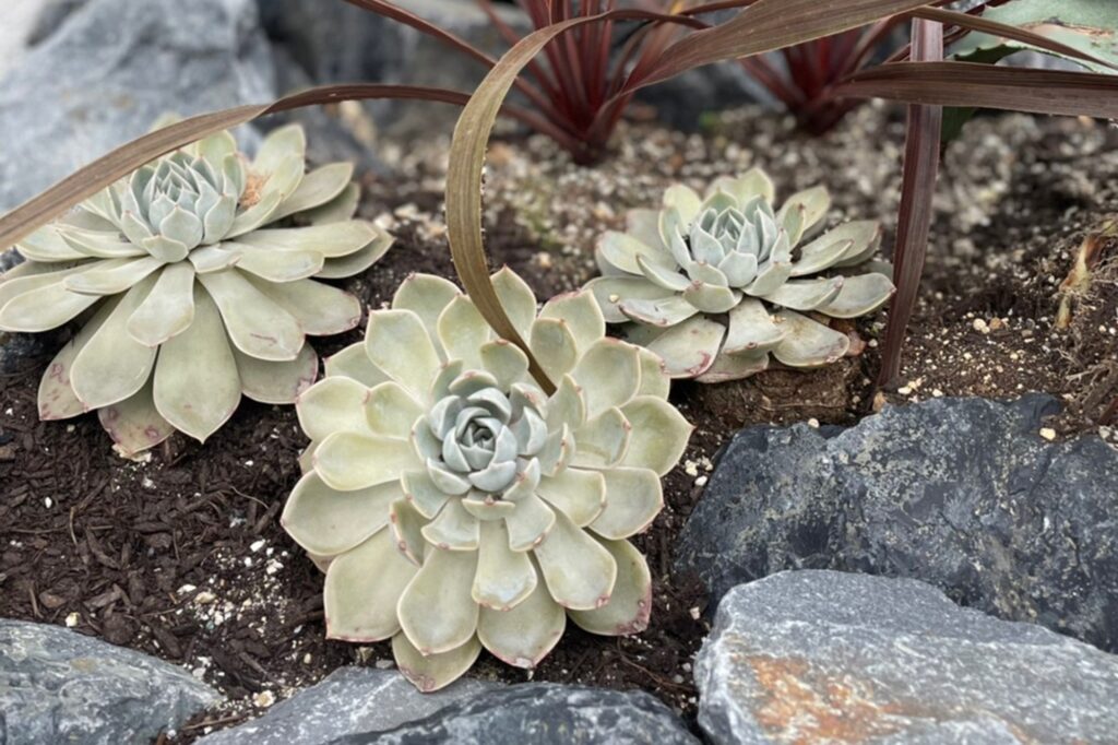 グランドアートウォールの塀とシャッターゲート イメージ11