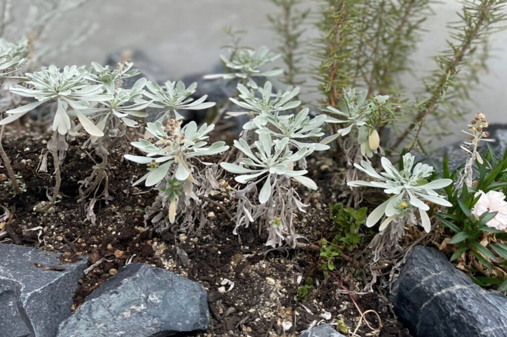 グランドアートウォールの塀とシャッターゲート イメージ9