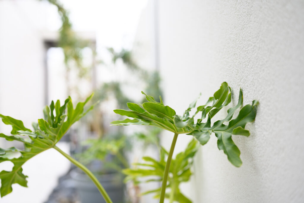 高さの変化を活かしたアクセント！枕木材を取り入れたグランドアートウォール外構 イメージ16