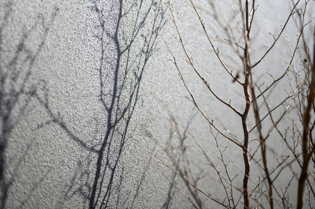 色褪せない外構デザイン フルクローズ外構 イメージ18