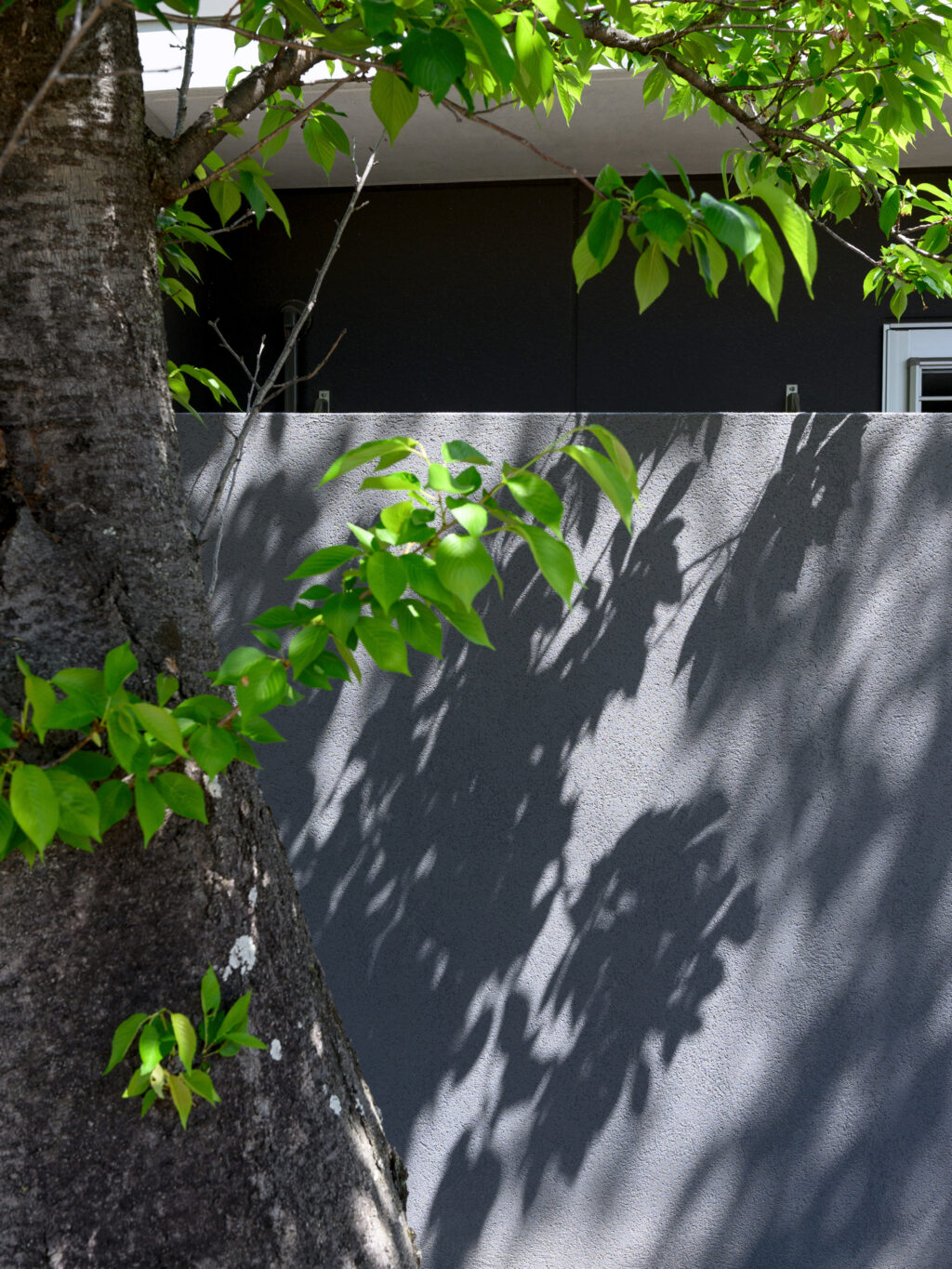 グランドアートウォール×縦格子のスタイリッシュな外構 イメージ14